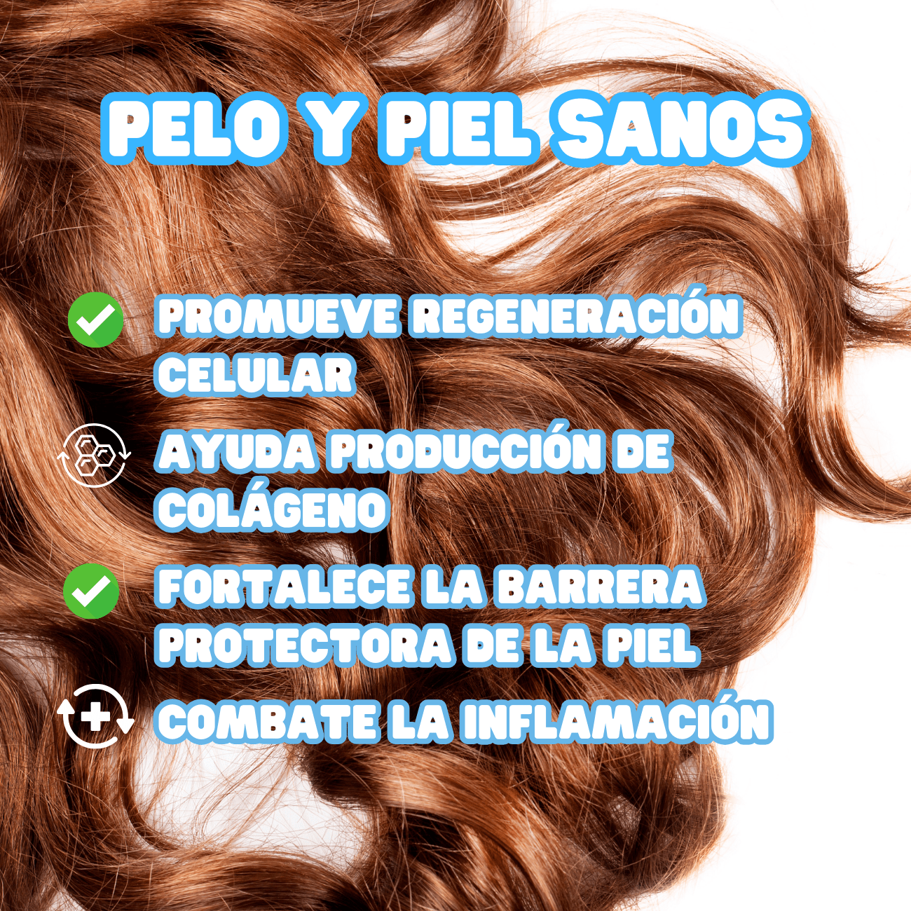 Calostro Bovino en polvo 100% natural de Vaca de Pasto - The Magic Cow